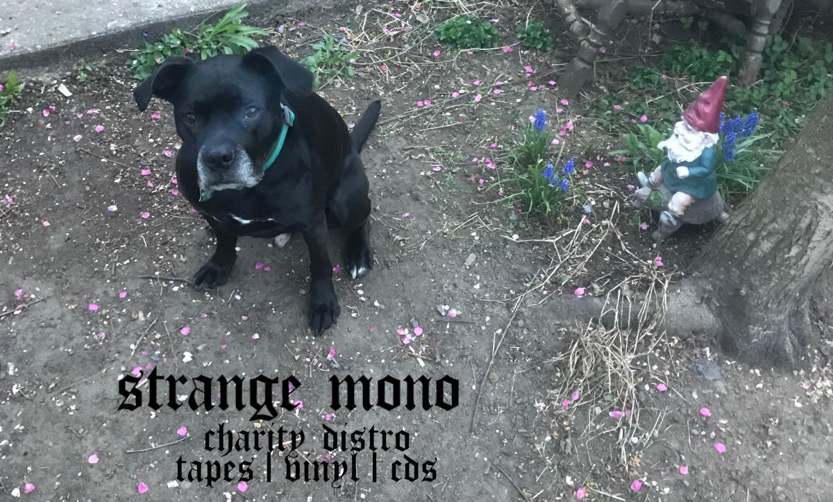 Strange Mono