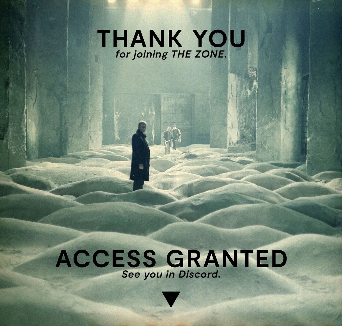 Introducing The Zone Discord